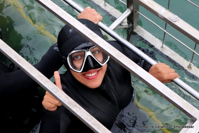 Shark Cage Diving, South Africa