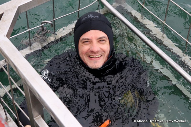 Shark Cage Diving, South Africa