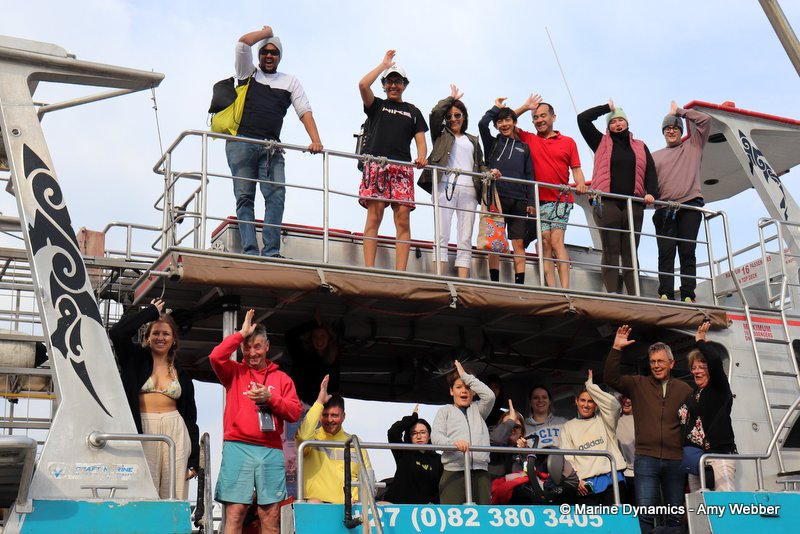 Shark Cage Diving, South Africa