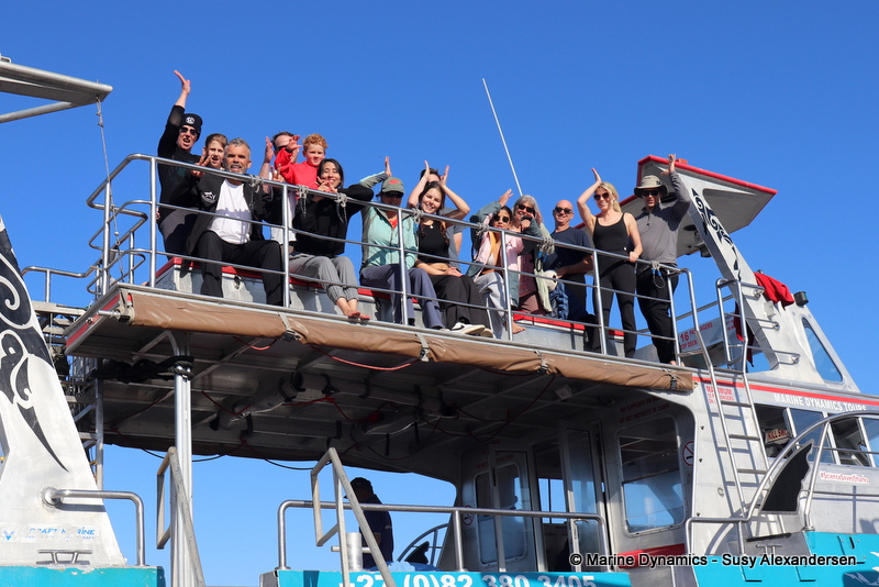 Shark Cage Diving, South Africa