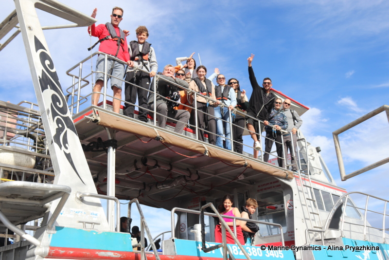 Shark Cage Diving, South Africa