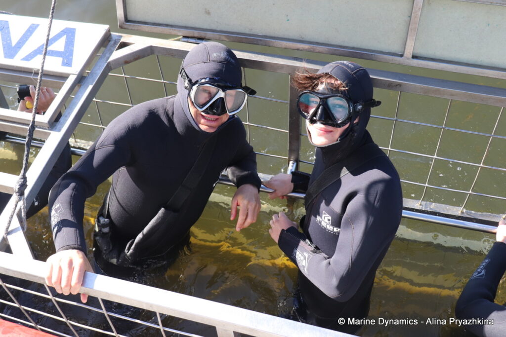 Shark Cage Diving, Gansbaai, South Africa