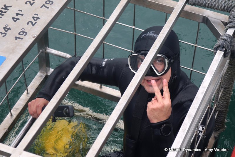 Shark cage diving, South Africa
