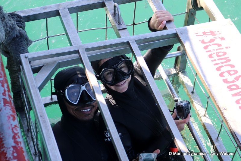 Shark Cage Diving, South Africa