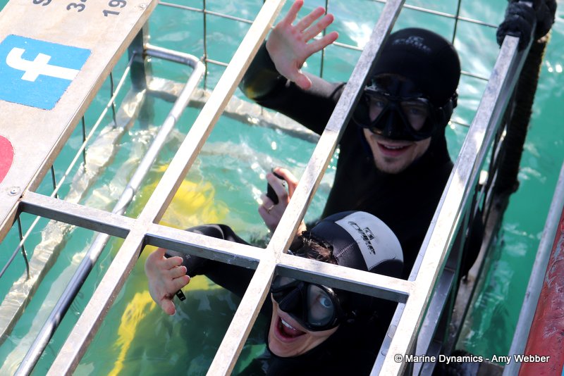 Shark cage diving, South Africa