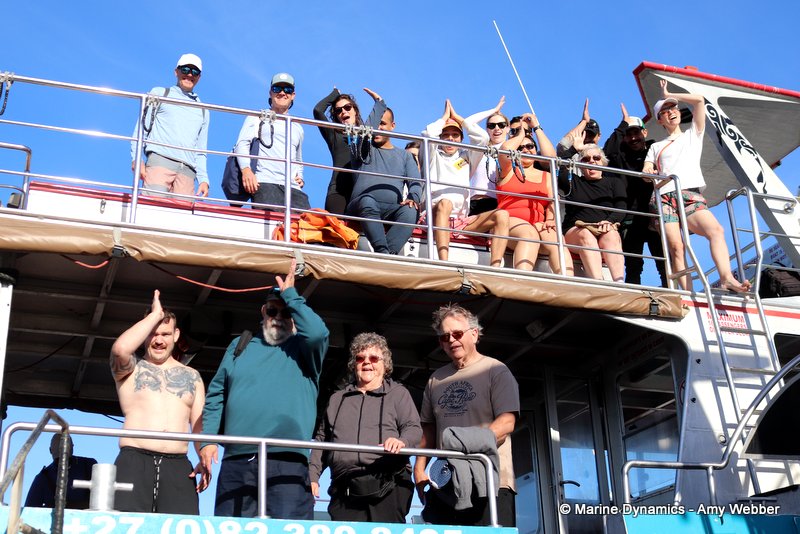 Shark Cage Diving, South Africa