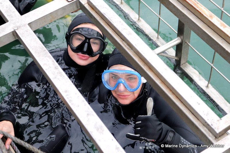 Shark Cage Diving, South Africa