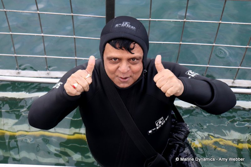 Shark Cage Diving, South Africa
