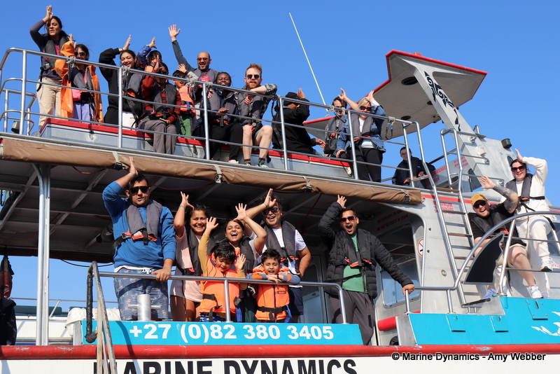 Shark cage diving, South Africa