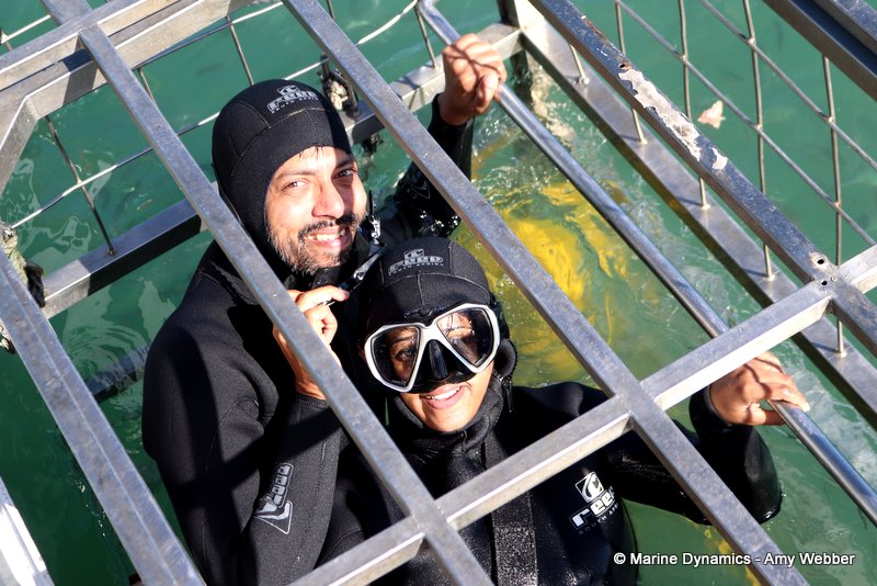 Shark cage diving, South Africa