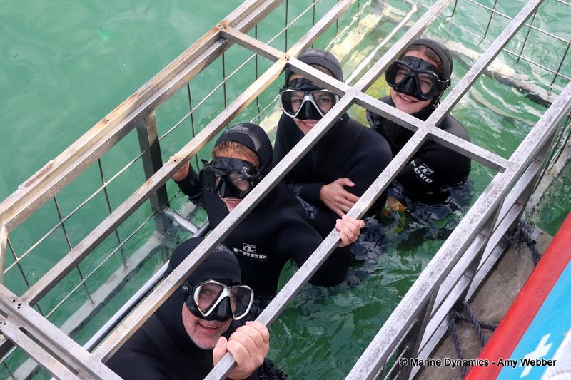 Shark Cage Diving, South Africa