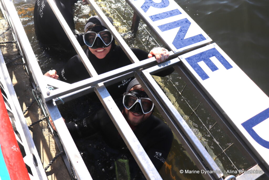 Shark Cage Diving, Gansbaai, South Africa