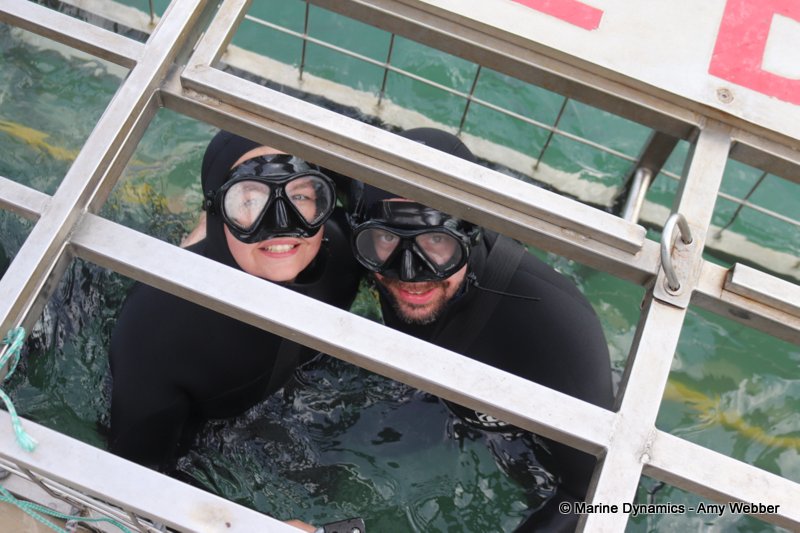 Shark cage diving, South Africa