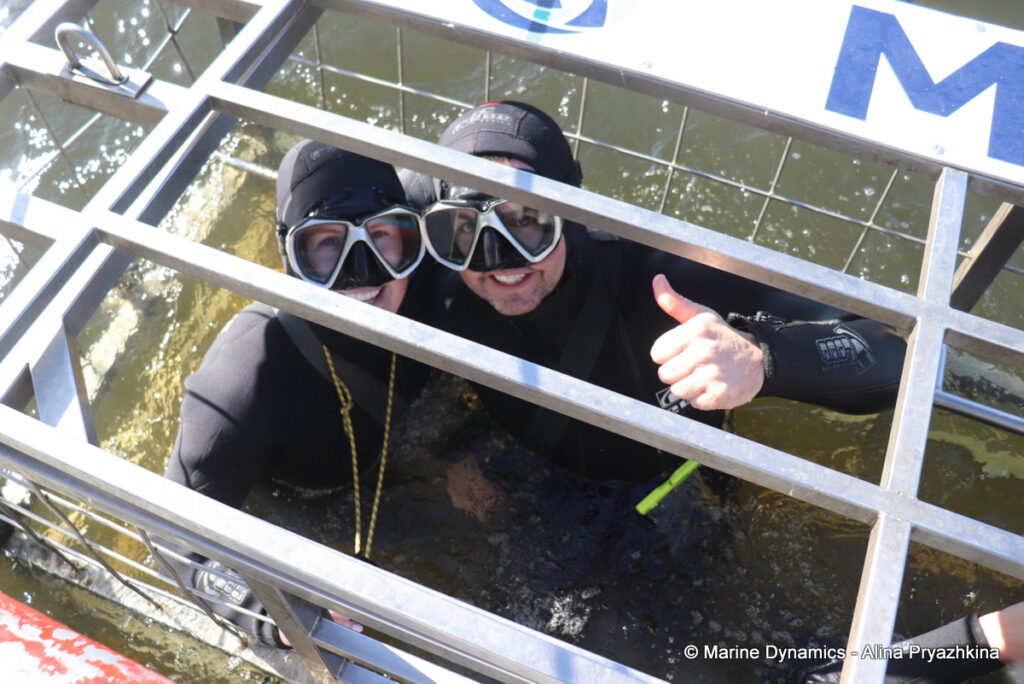 Shark Cage Diving, Gansbaai, South Africa