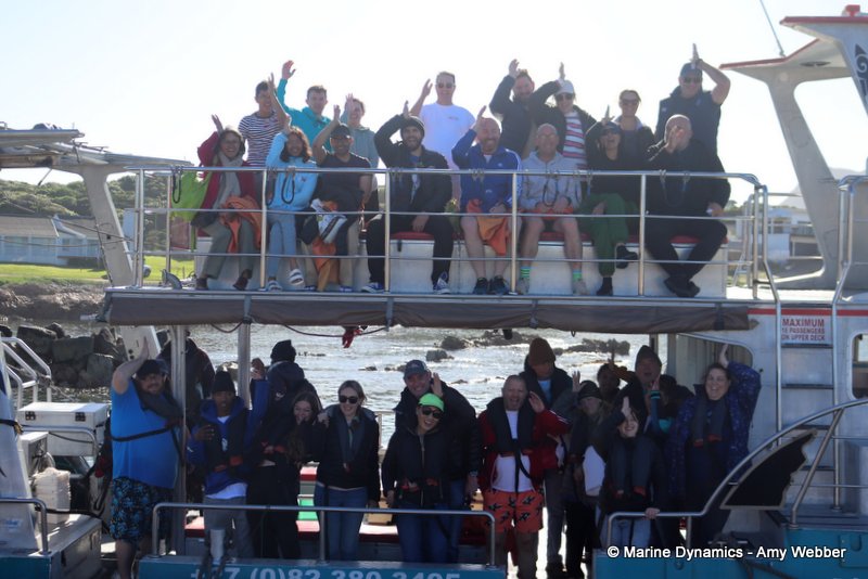 Shark Cage Diving, South Africa