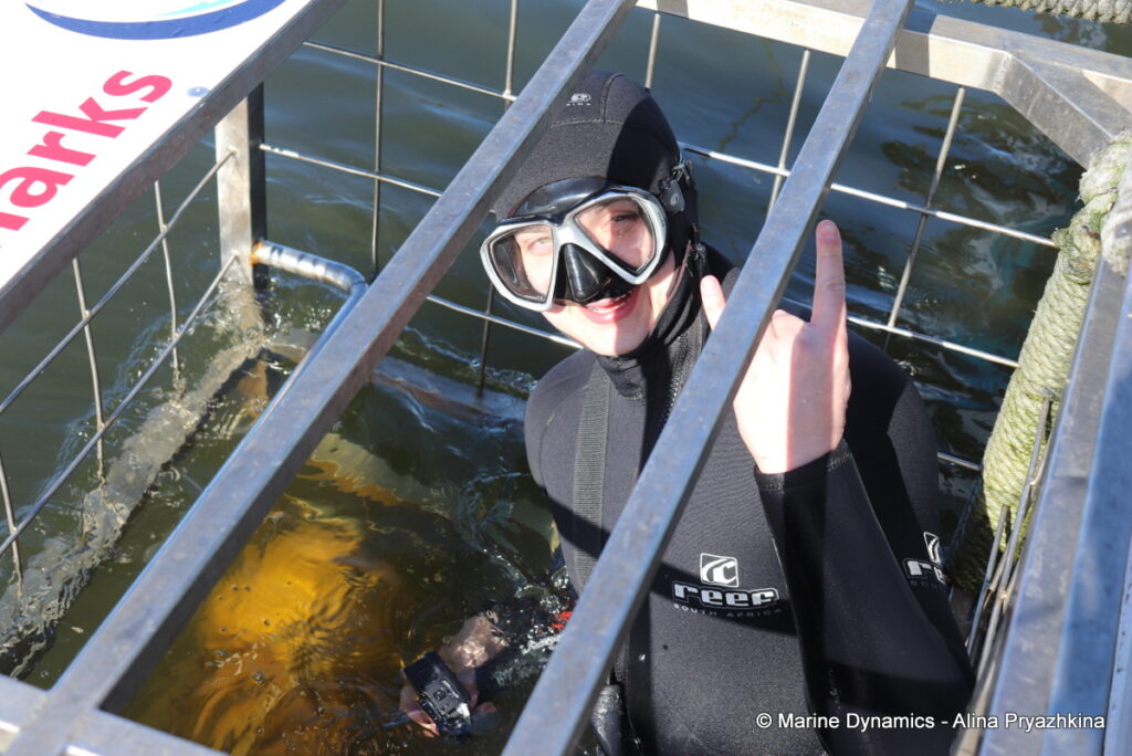 Shark Cage Diving, Gansbaai, South Africa