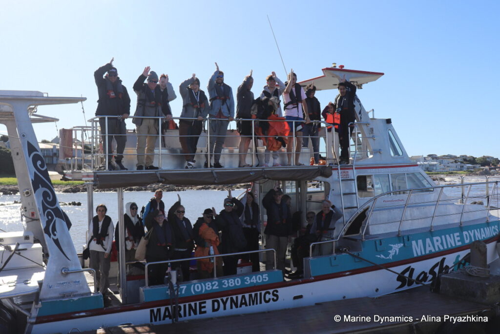 Shark Cage Diving, Gansbaai, South Africa