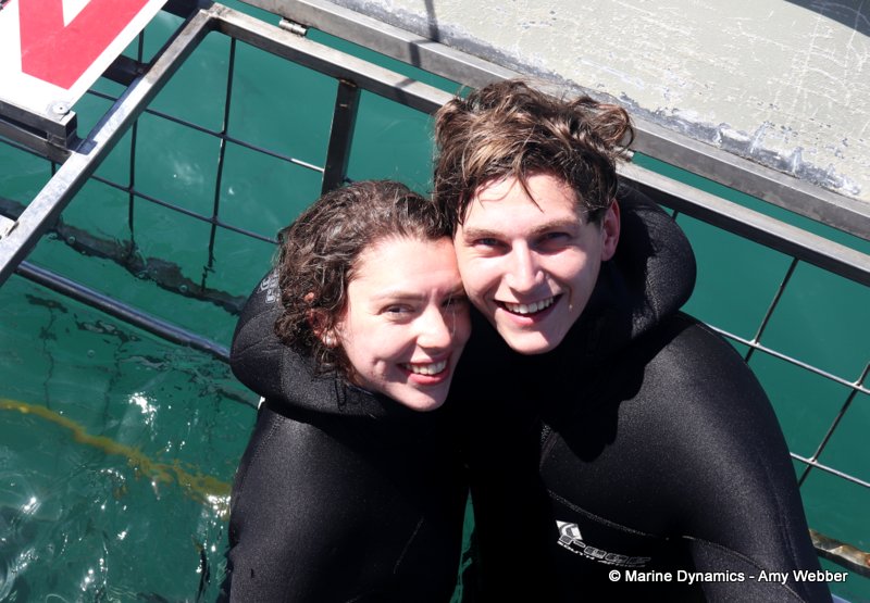 Shark Cage Diving, South Africa