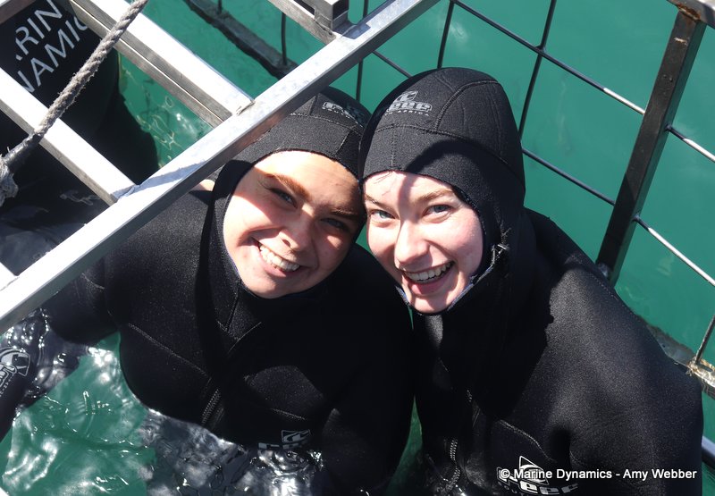 Shark Cage Diving, South Africa