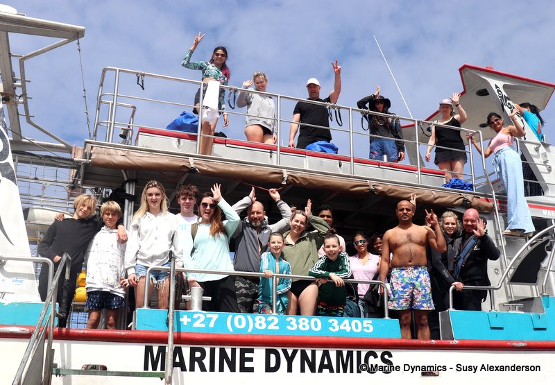 Shark Cage Diving, South Africa