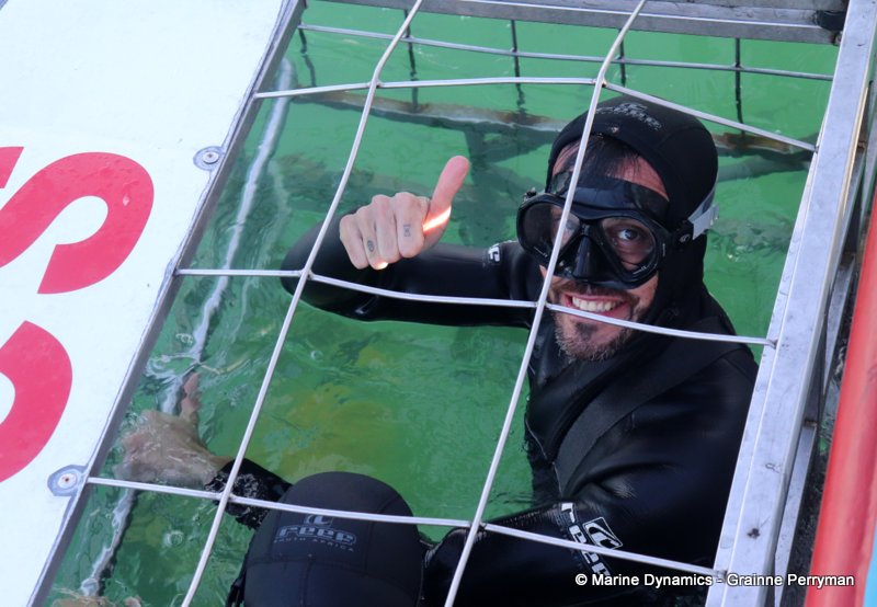 Shark Cage Diving, South Africa