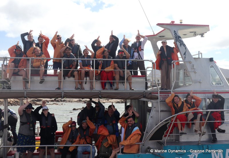 Shark Cage Diving, South Africa