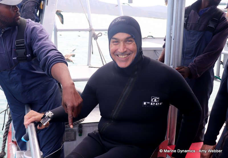 Shark Cage Diving, South Africa