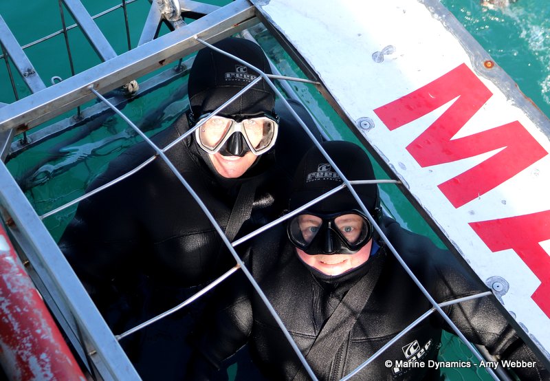 Shark Cage Diving, South Africa