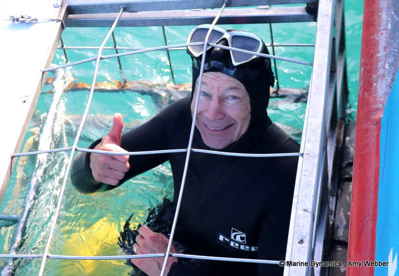 Shark Cage Diving, South Africa