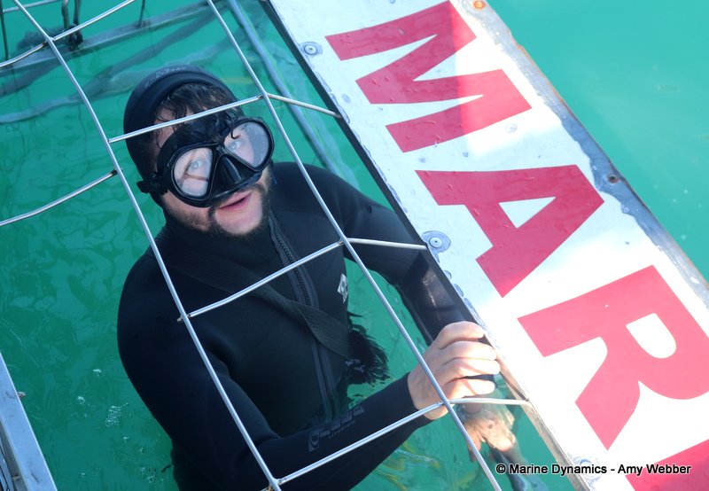 Shark Cage Diving, South Africa