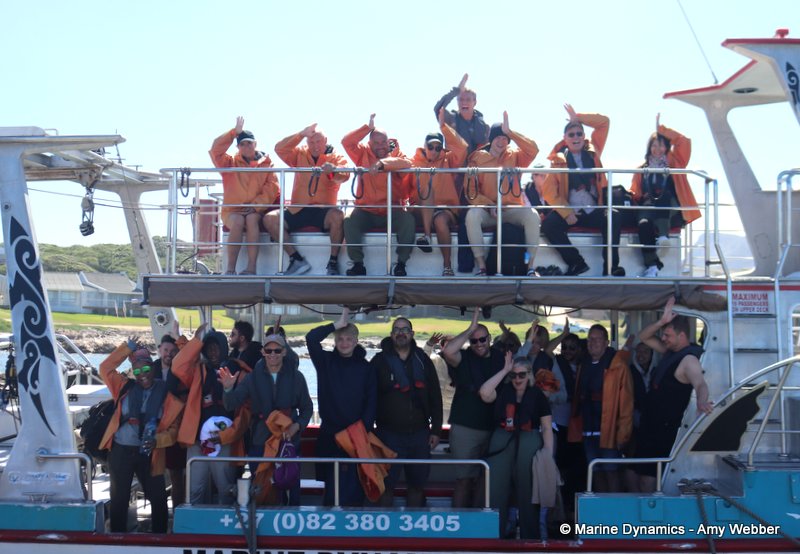 Shark Cage Diving, South Africa