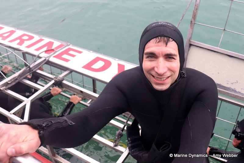 Shark cage diving, South Africa