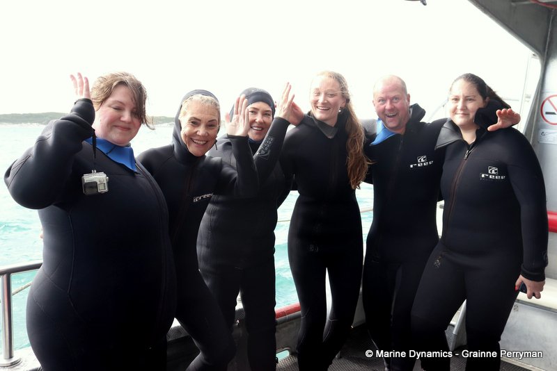 Shark cage diving, South Africa