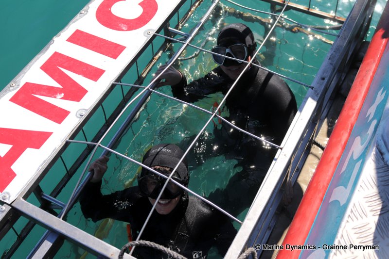 Shark Cage Diving, South Africa
