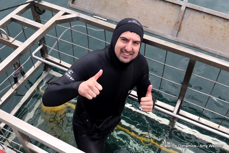 Shark cage diving, South Africa