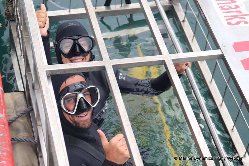 Shark cage diving, South Africa