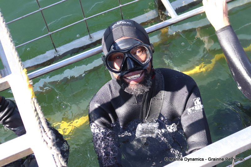 Shark Cage Diving, South Africa