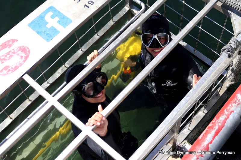 Shark Cage Diving, South Africa