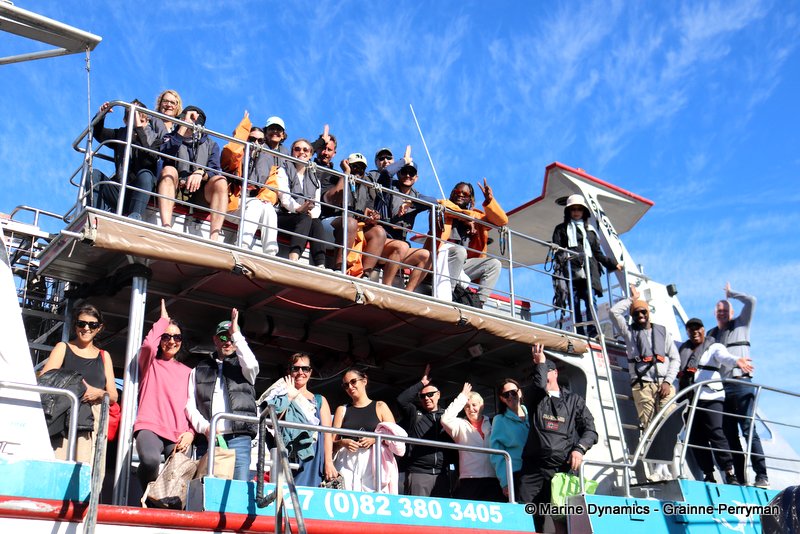 Shark Cage Diving, South Africa