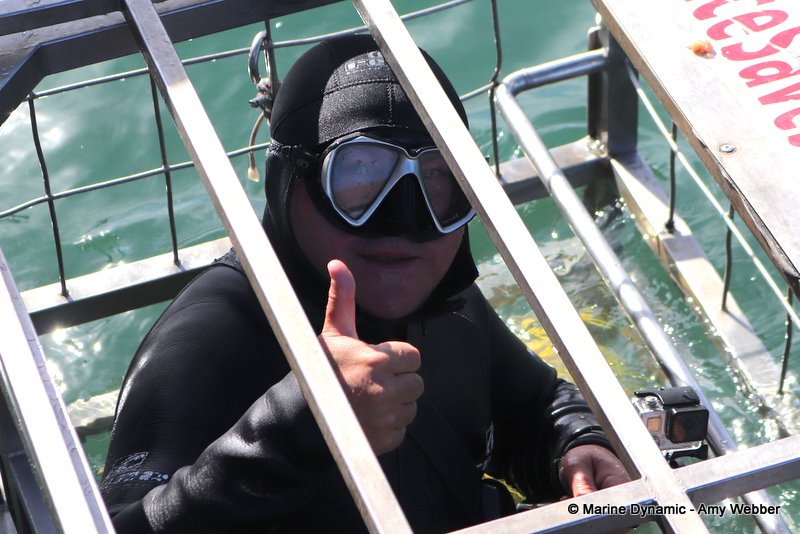 Shark Cage Diving, South Africa