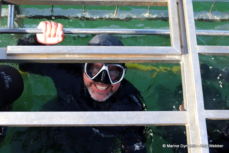 Shark Cage Diving, South Africa