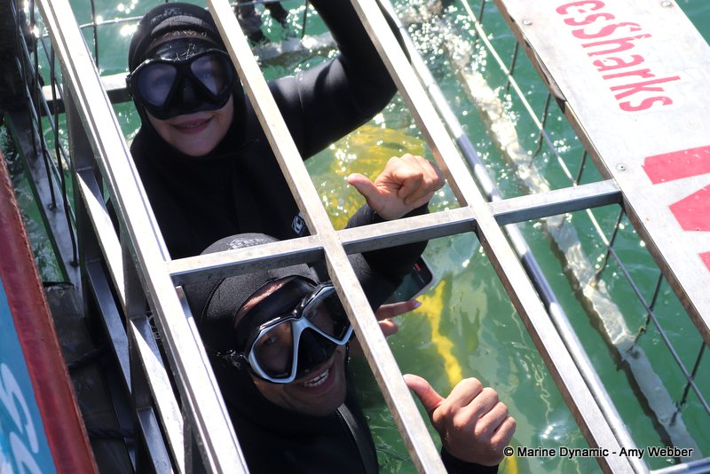 Shark Cage Diving, South Africa