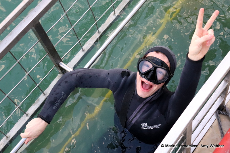 Shark cage diving, South Africa