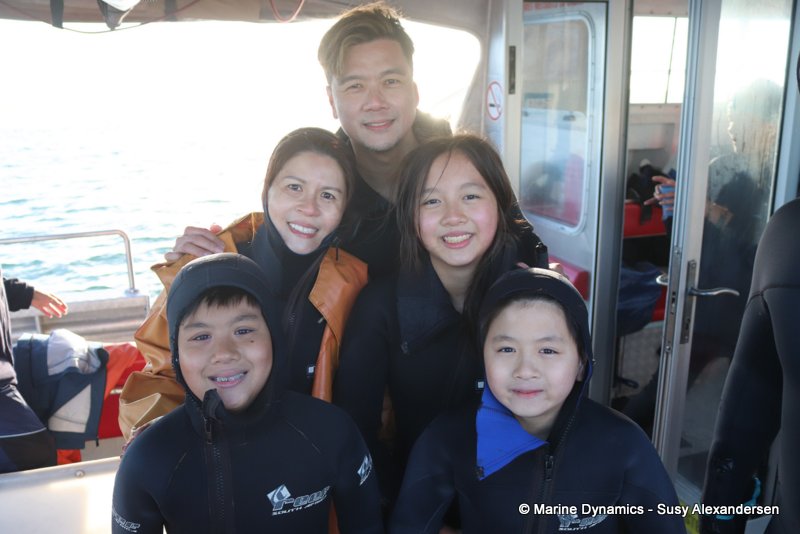 Shark cage diving, Gansbaai, South Africa