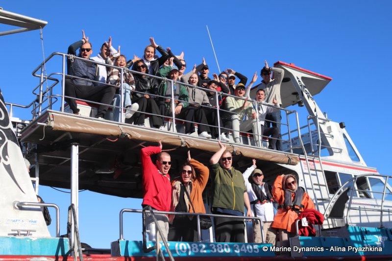 Shark Cage Diving, South Africa