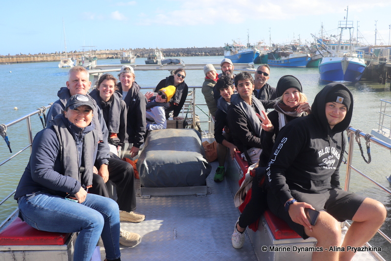 Shark Cage Diving, South Africa