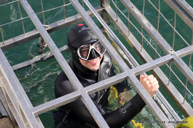 Shark Cage Diving, South Africa