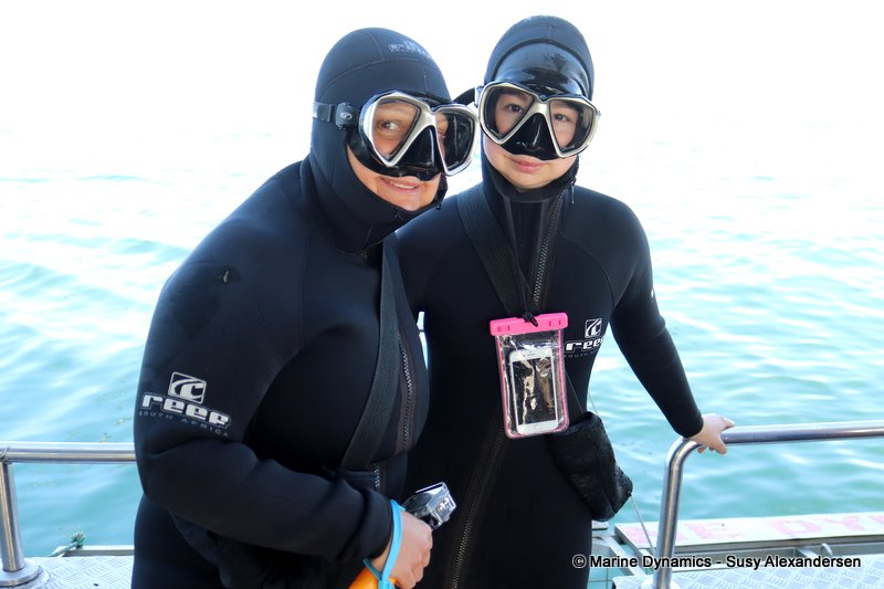 Shark Cage Diving, South Africa