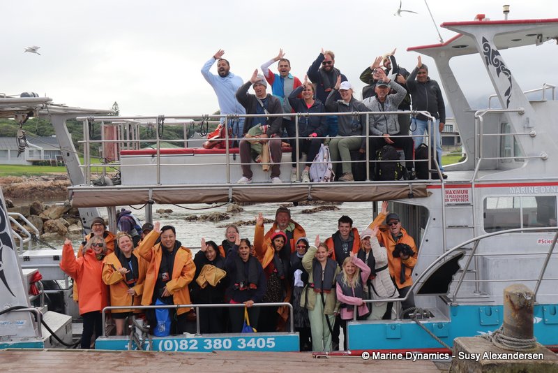 Shark cage diving, south africa