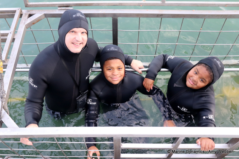 Shark cage diving, South Africa